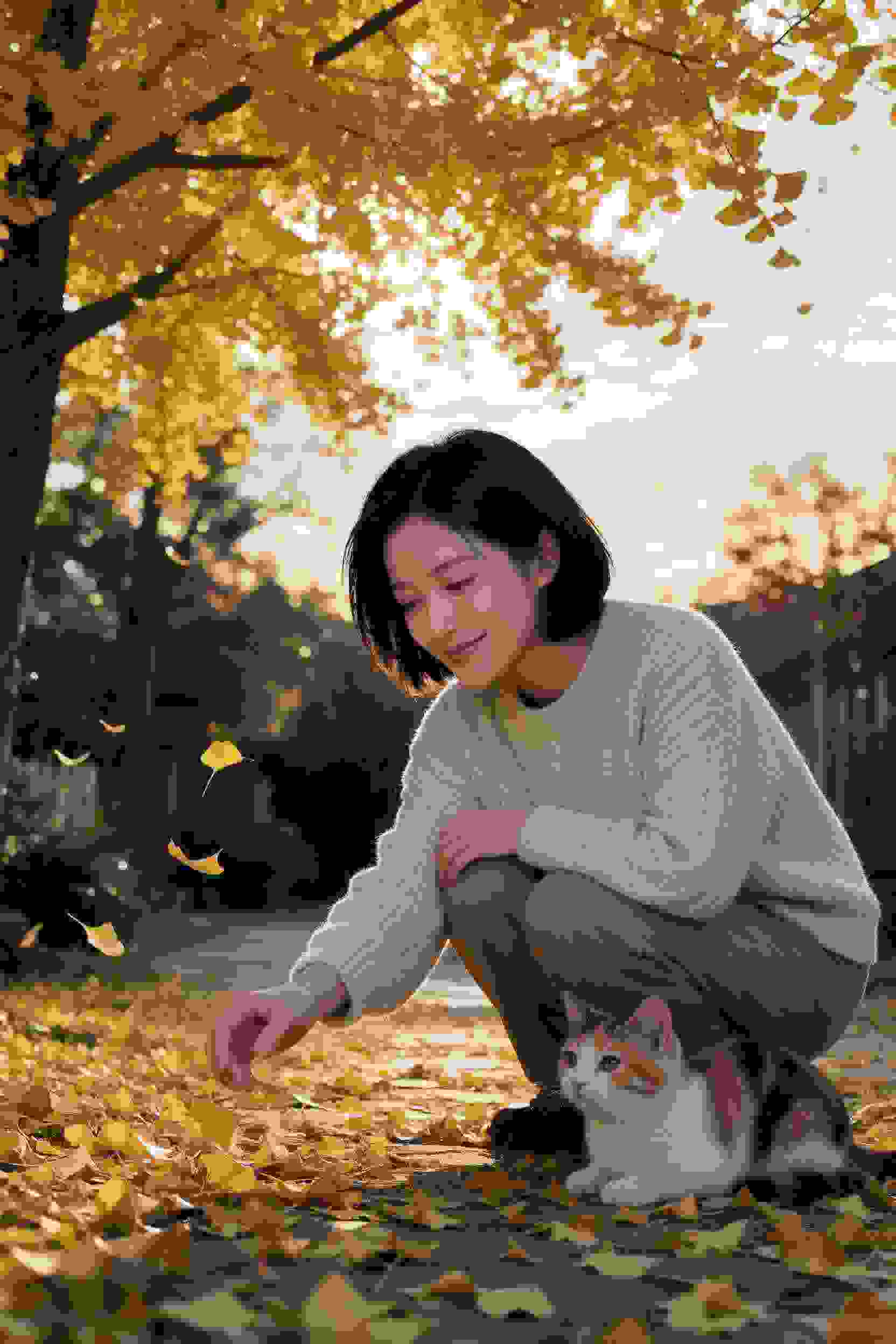光之战姬